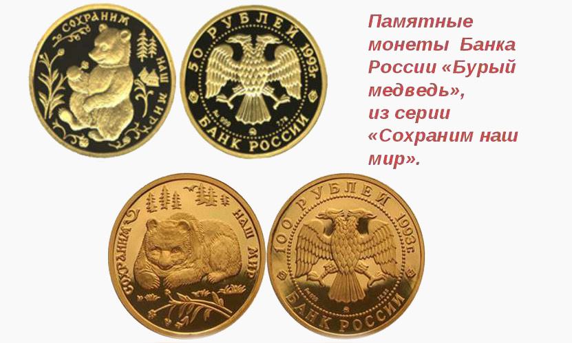 Памятные монеты Банка России Бурый медведь, из серии Сохраним наш мир