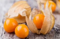 Увеличить изображение Физалис Физалис